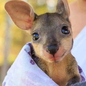 Meet your Posher, Mandy